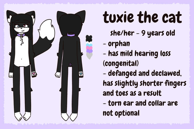 reference sheet example